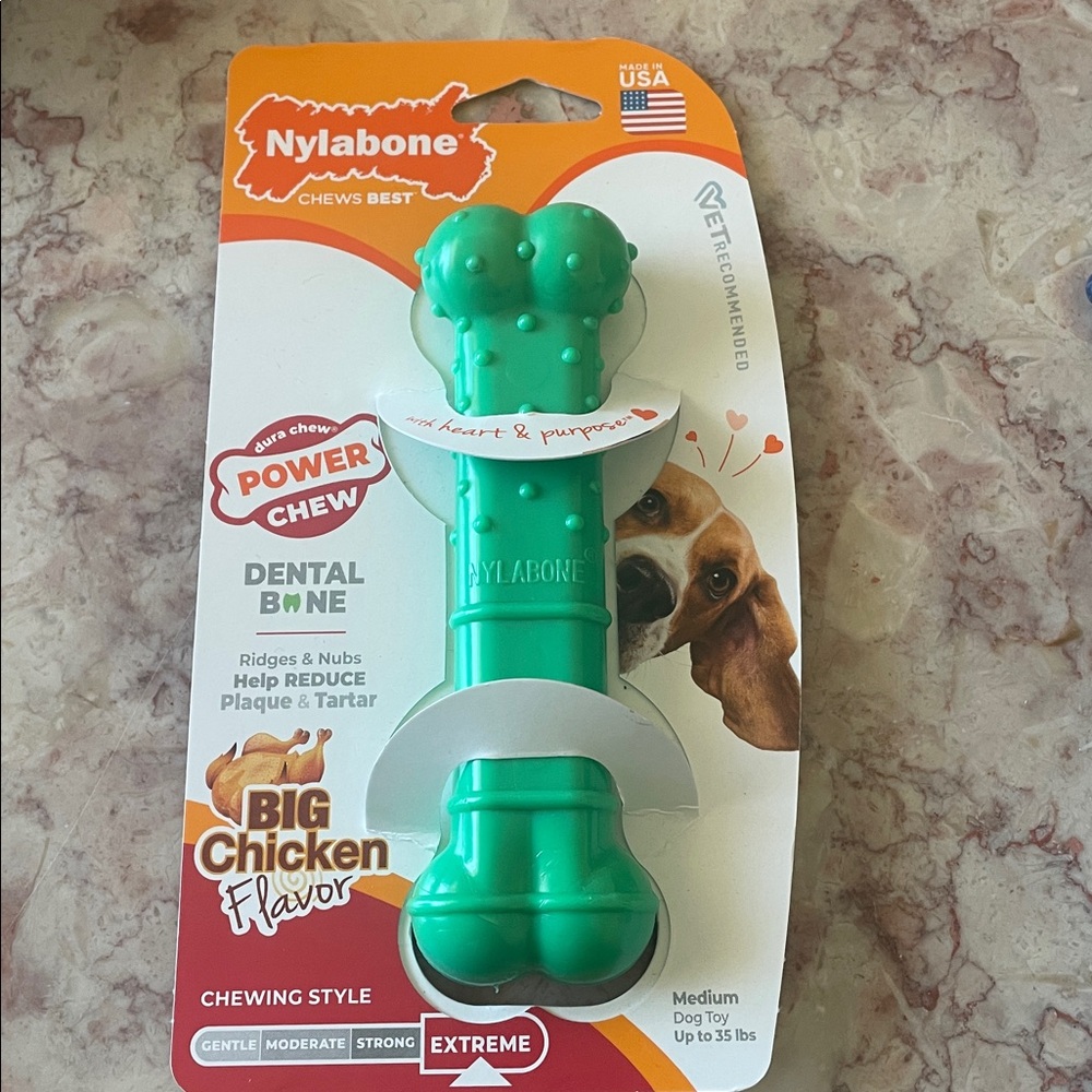 Nylabone Power Chew Holiday Bone Chew Toy (1 count) Chicken Medium Up to 35 Lbs